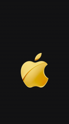 4.png