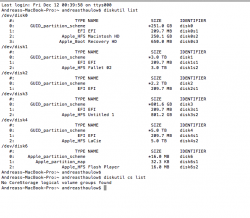 Terminal Output.png