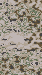 5.png