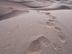 Foot Prints.jpg