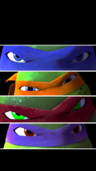 turtleslice.png