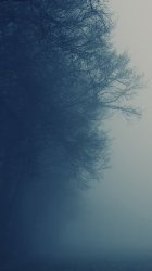 Shrouded.jpg