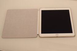 Ipad_Boxwave 2.jpg