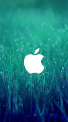 Wet Grass Apple 01.png