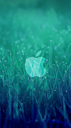 Wet Grass Apple 02.png