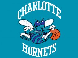 Charlotte_Hornets.jpg