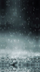 Rain.png