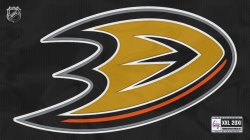 Anaheim-Ducks-P-Black012.jpg