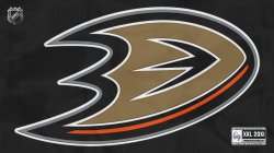 Anaheim-Ducks-P-Black013.jpg