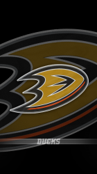 Anaheim Ducks 640.png