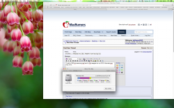 Screen Shot 2015-01-31 at 3.05.47 PM.png