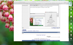 Screen Shot 2015-01-31 at 3.09.10 PM.png