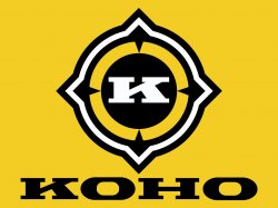 Koho_Yellow03.jpg