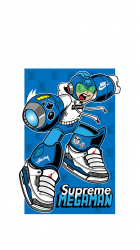 MegaMan 04.png