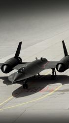 Blackbird.png