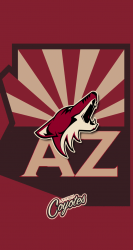 AZ Coyotes.png