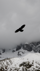 Mountain Clouds 01.png