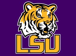 LSU_Tigers4.jpg