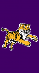 LSU 02.png