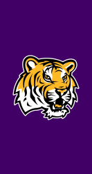 LSU 03.png