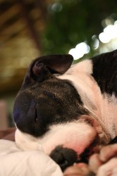 IMG_0170.jpg