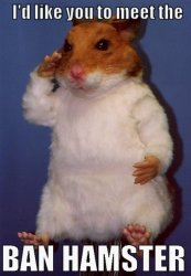 banhamster.jpg