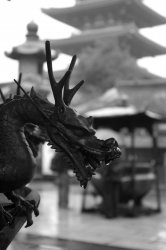 Fountain Dragon-w.jpg