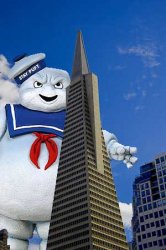 transamerica_puft.jpg