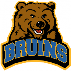 8410_ucla_bruins-alternate-2004.png