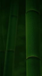 Bamboo.png