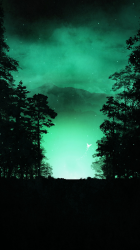 Night Glow.png