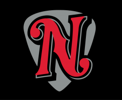 3923_nashville_sounds-cap-2015.png