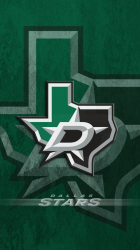 Dallas Stars 01.png