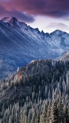 Winter Mountains.jpg