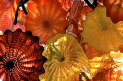 081106 Chihuly NYBG - 8.jpg