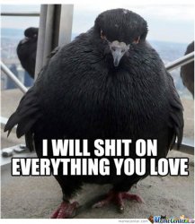 because-****-you-thats-why_o_317845.jpg