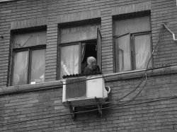 window 4.jpg