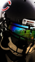 Bears 02.png
