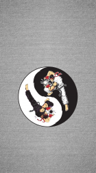 05.png