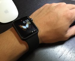 thumb_IMG_2924_1024.jpg