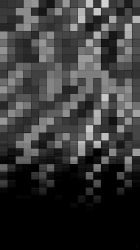 Squared Black.png