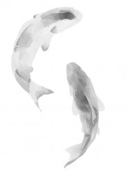 thumb_art-fish-koi-Favim.com-2183674_1024.jpg