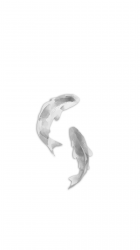 Fish 01.png