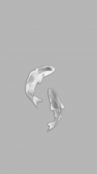 Fish 02.png
