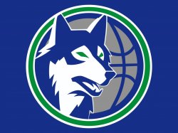 Minnesota_Timberwolves3.jpg