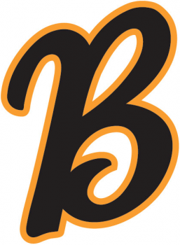 2314_bakersfield_blaze-cap-2011.png