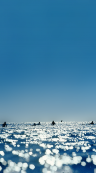 Surfers.png