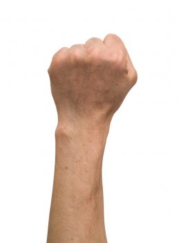 image.jpg