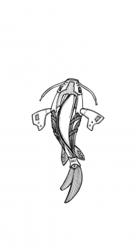 Asics fish.png