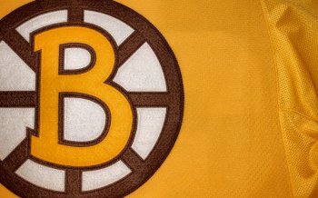 vintage_boston_bruins_logo.jpeg